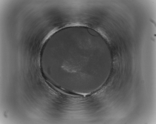 X0000099301173200805021225