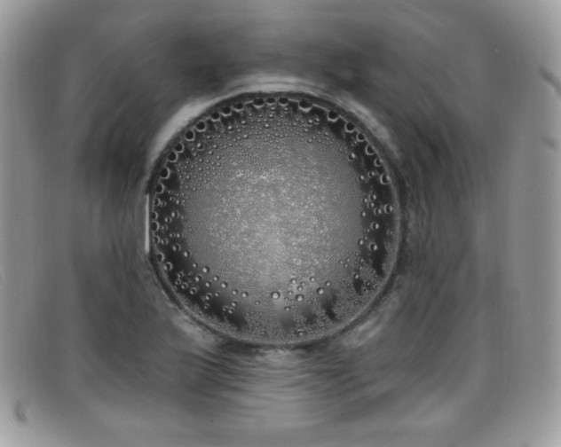 X0000099301175200805021225