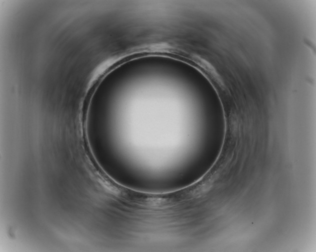 X0000099301176200805021225