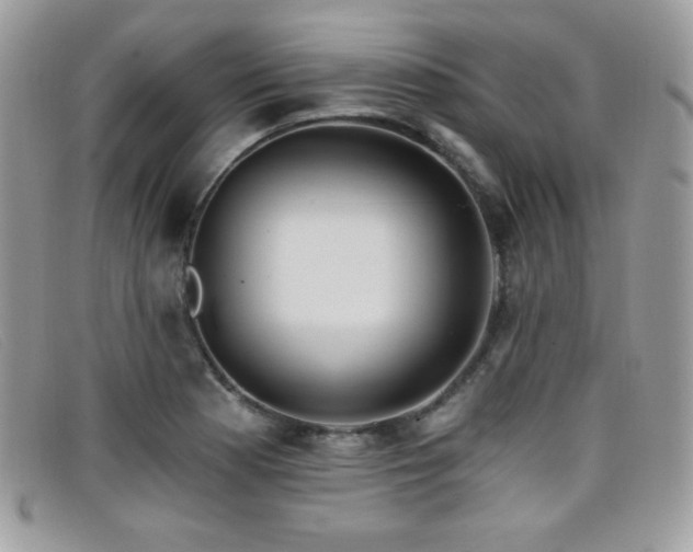 X0000099301177200805021225