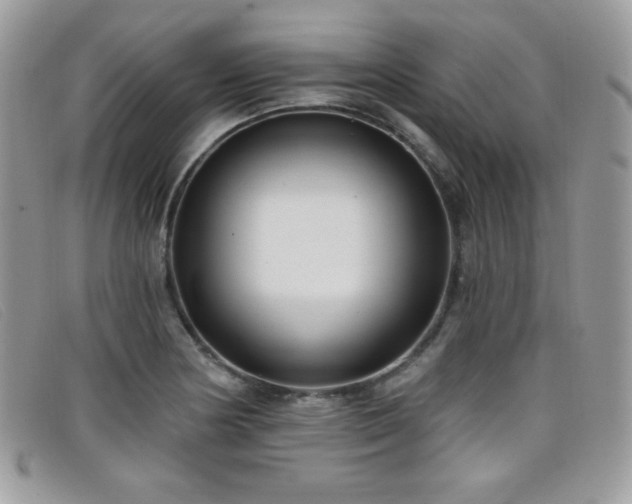 X0000099301178200805021225