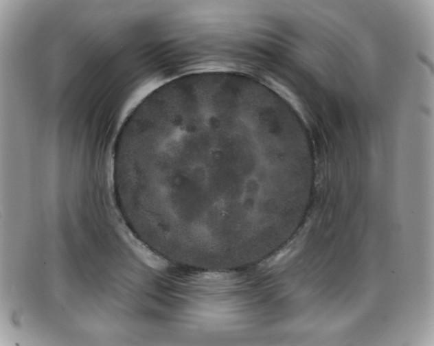 X0000099301179200805021225