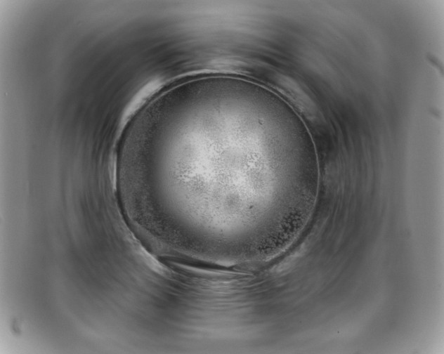 X0000099301180200805021225