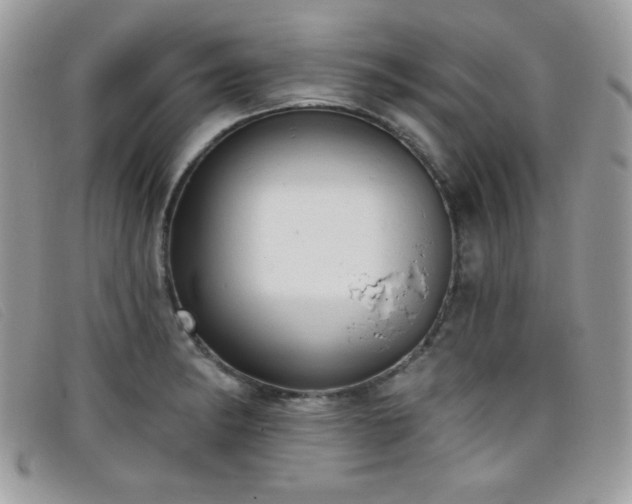 X0000099301182200805021225