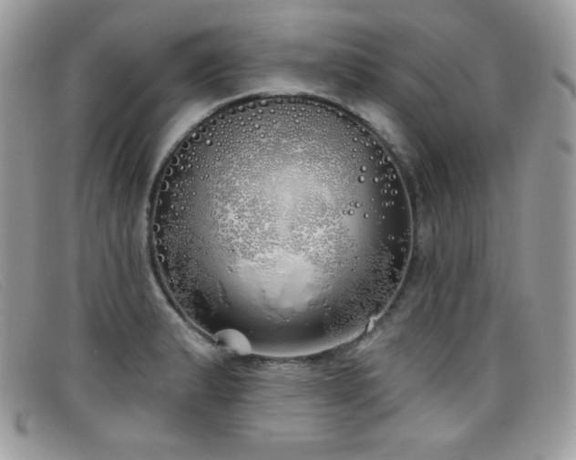 X0000099301183200805021225