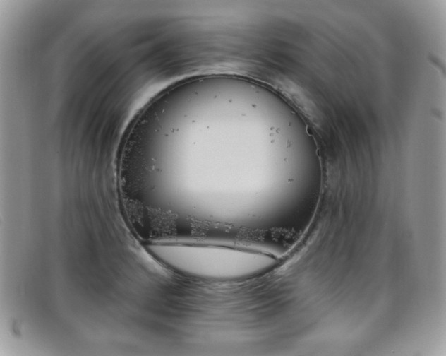 X0000099301184200805021225