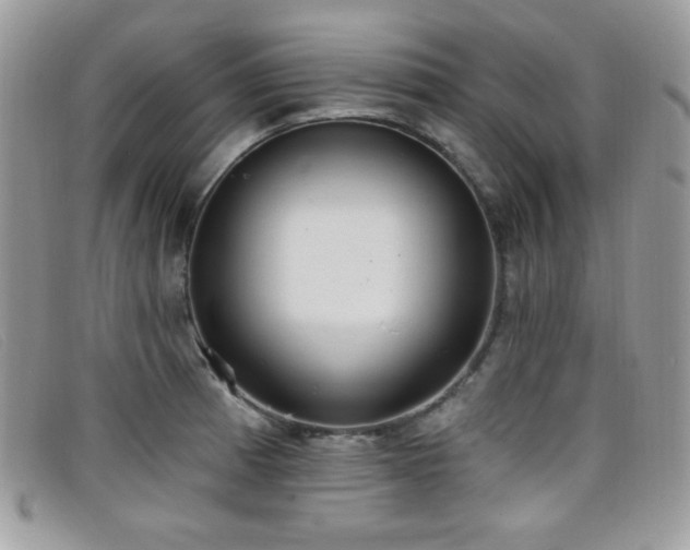 X0000099301185200805021225