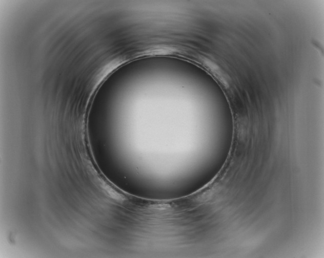 X0000099301186200805021225