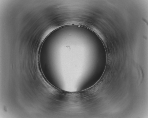 X0000099301187200805021225