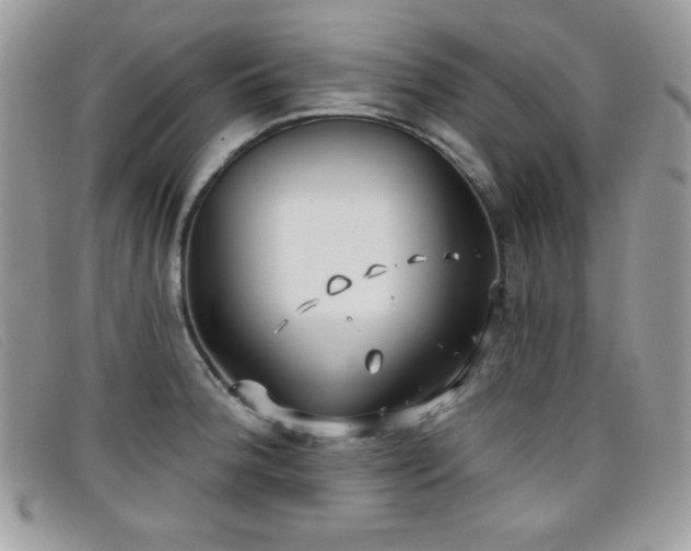 X0000099301188200805021224