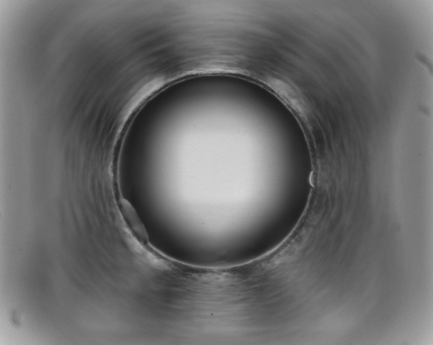 X0000099301189200805021224