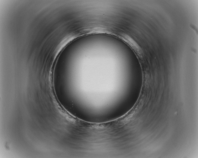 X0000099301190200805021224