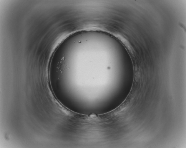 X0000099301191200805021224