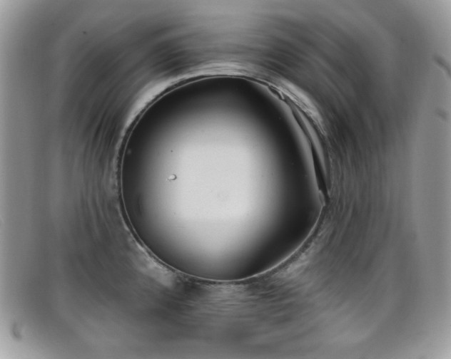 X0000099301192200805021224