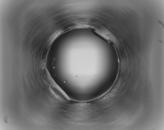 X0000099301193200805021224