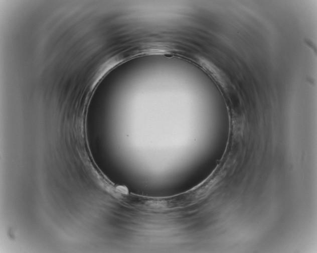 X0000099301194200805021224