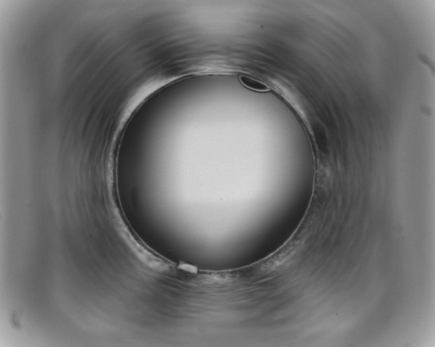 X0000099301195200805021224