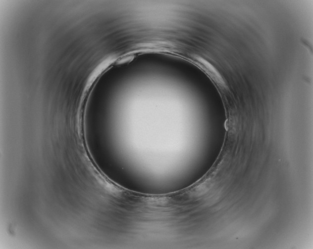 X0000099301196200805021224