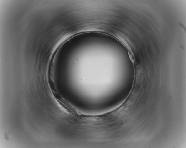 X0000099301197200805021224