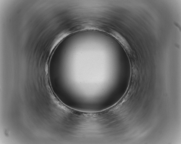 X0000099301198200805021224