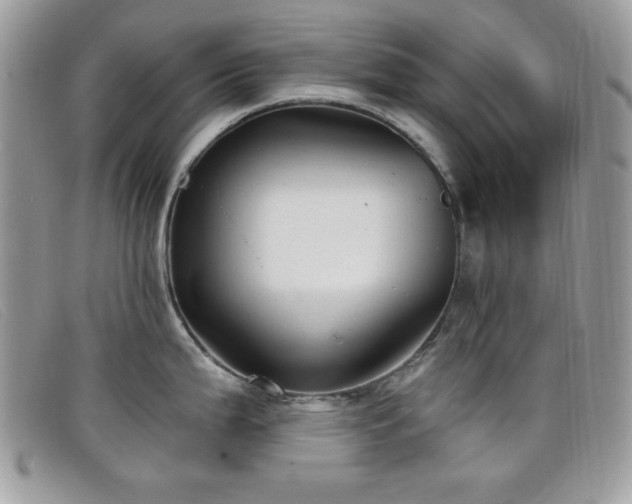 X0000099301199200805021224