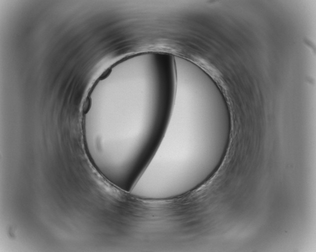 X0000099301200200805021224