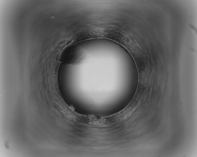 X0000099301201200805021224