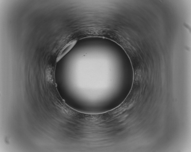 X0000099301202200805021224