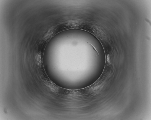 X0000099301203200805021224