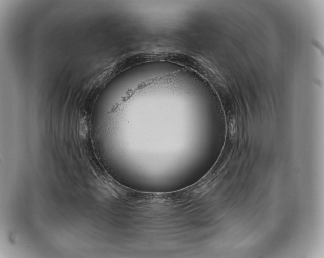 X0000099301204200805021224