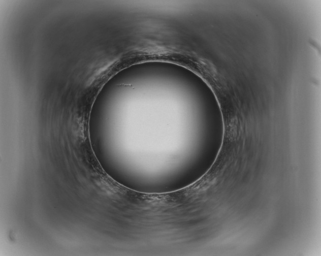 X0000099301205200805021224