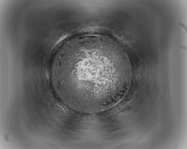 X0000099301206200805021224