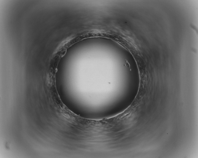 X0000099301207200805021224