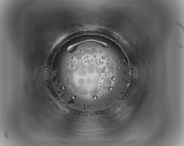 X0000099301208200805021224