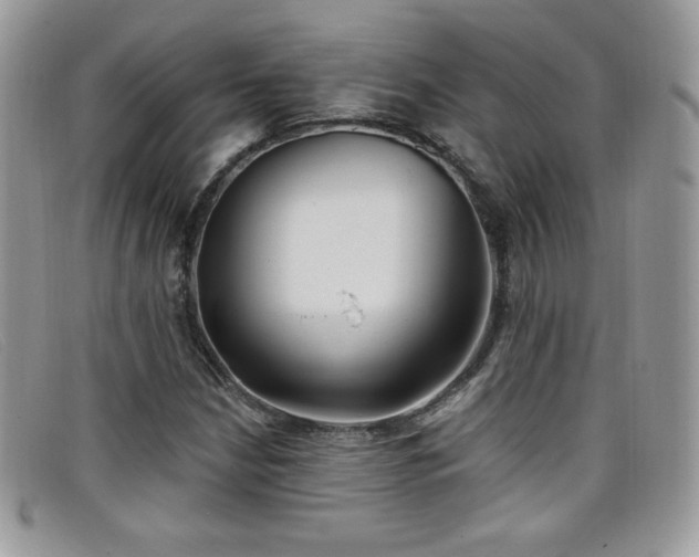 X0000099301210200805021224