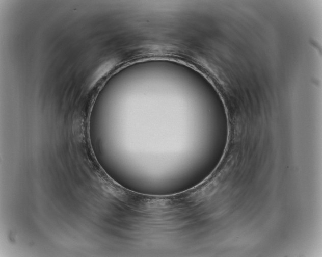 X0000099301211200805021224