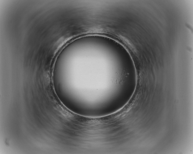 X0000099301212200805021224