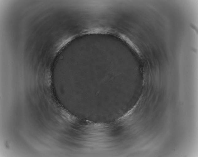 X0000099301213200805021224