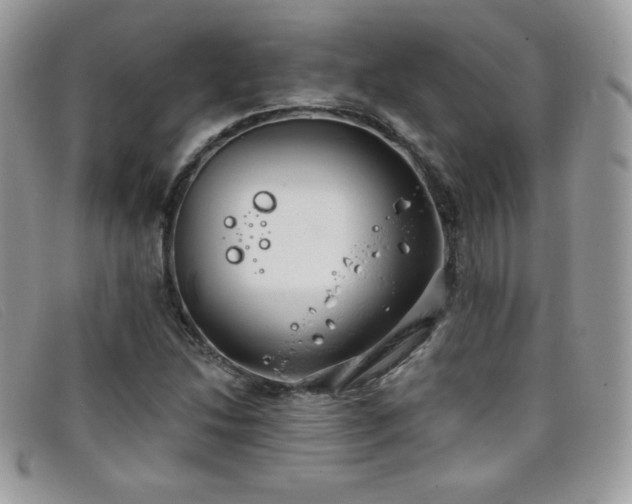 X0000099301214200805021224