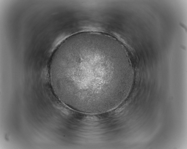 X0000099301215200805021224