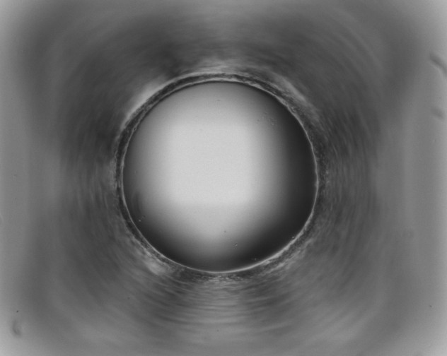 X0000099301216200805021224