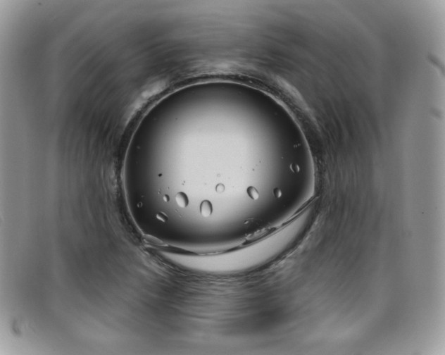 X0000099301218200805021224