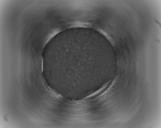 X0000099301219200805021224