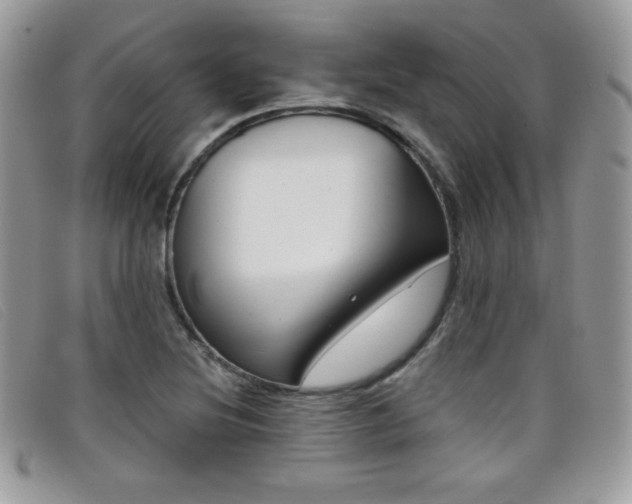 X0000099301220200805021224