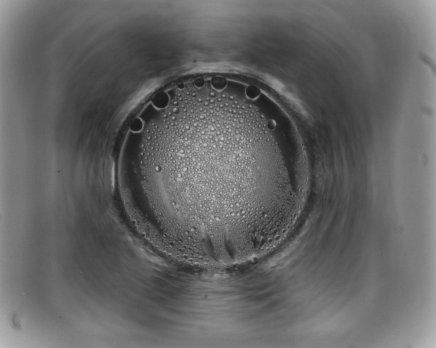 X0000099301221200805021224