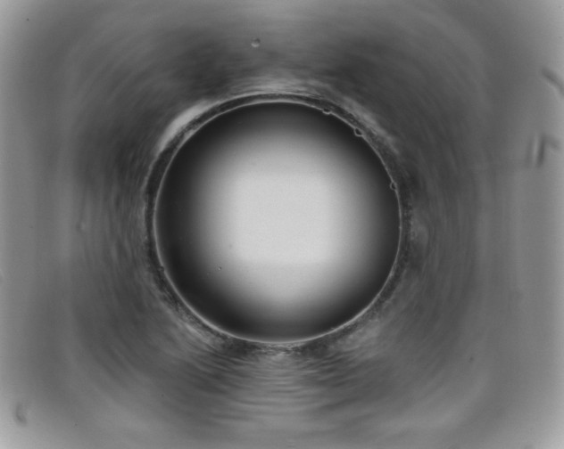 X0000099301222200805021224