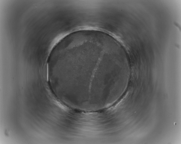 X0000099301223200805021224