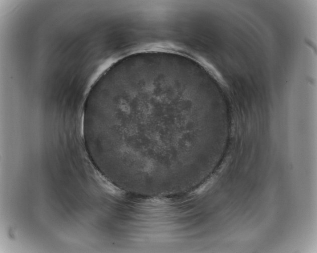 X0000099301224200805021224