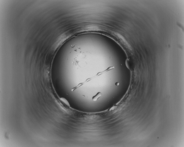 X0000099301225200805021224