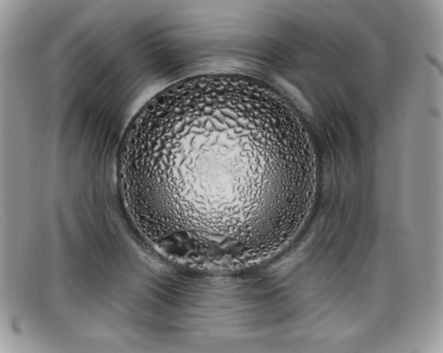 X0000099301226200805021224